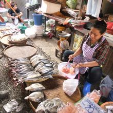 見たことのない魚