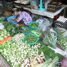 採りたての野菜