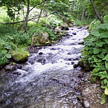 2008.07月撮影。この川が滝となります。