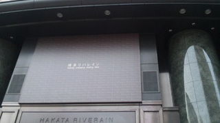 大塚家具に行きました。