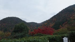 茶室が好きな人には