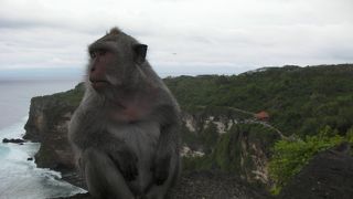 ケチャがおすすめ