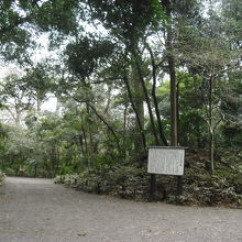 武蔵野の面影が