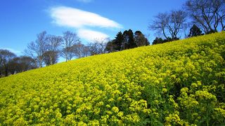 満足度の高い牧場♪
