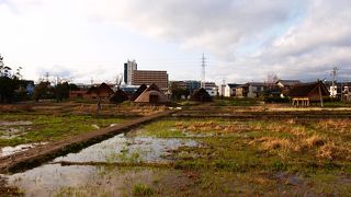 登呂遺跡が公園の中にあります