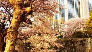 堀が広く見ごたえがあります