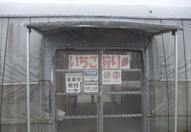 石橋農園 クチコミ アクセス 営業時間 袖ヶ浦 フォートラベル 石橋農園 クチコミ アクセス 営業時間 袖ヶ浦 フォートラベル