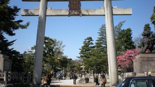 天神様と梅の名所として知られているお宮さん