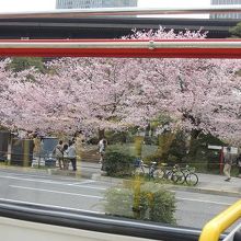 桜の季節、緑濃い盛夏、紅葉の秋がお勧めか