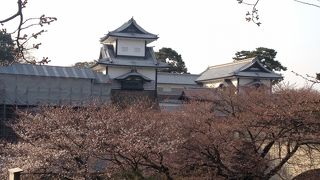 お散歩にいいと思います。