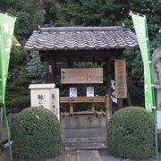 東福寺のかえりに