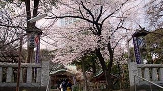 芝公園内に発見