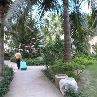 案内してくれたポーターさん