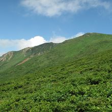 緑輝く栗駒山