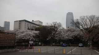 増上寺が保有する貴重な経典を保管。