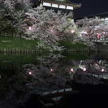 お堀に写る姿もあでやかです。