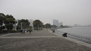 臨港パークはパシフィコ横浜の裏手に位置し、横浜港を臨むみなとみらい地区最大の公園です