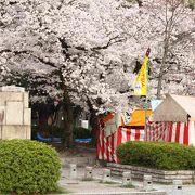 名古屋のお花見の定番