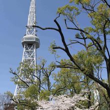 ぽかぽか・・・