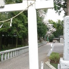 神社脇の参道