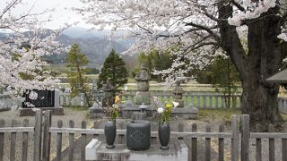 武田信義は、武田氏の初代当主に当たる人物