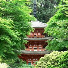 岩船不動明王磨崖仏で知られる京都府木津川市加茂町の岩船寺