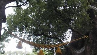 被ばくきちょう体験