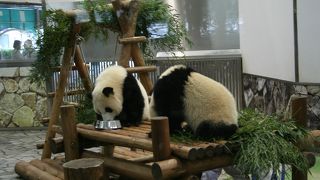 子供も大人も大満足