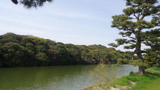 ついに来ました