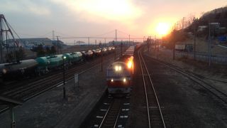 白鳥大橋の全景をおさえるのは難しい