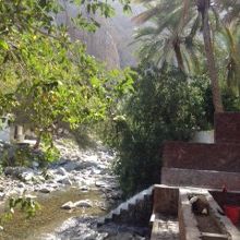 ナハルフォート付近のワディ