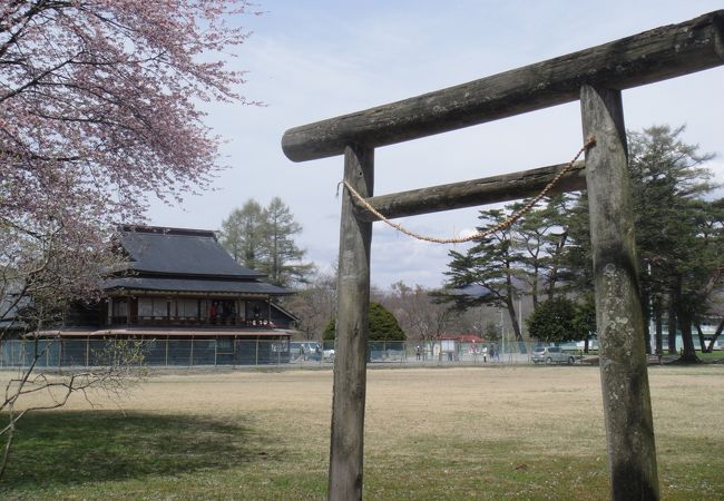 二十間道路の花見といっしょに