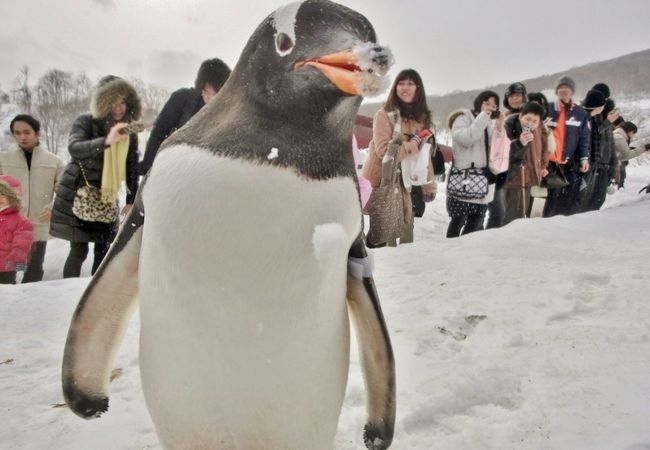 おたる水族館