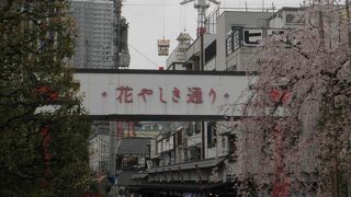 浅草寺から花やしきへ行く通り