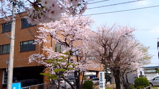 国指定史跡の阿野一里塚