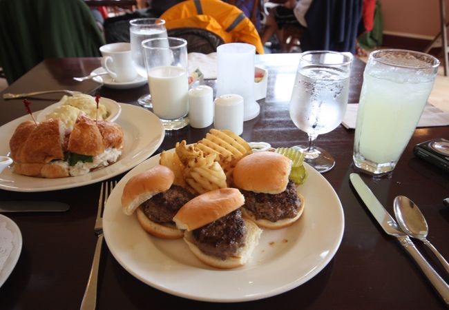 エルク・バイソン・アンテロープのバーガー食べ比べ