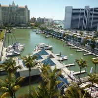 朝日がきれいでした。