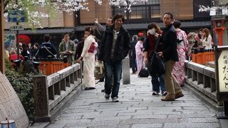 巽橋周辺の桜。まさに京都です。
