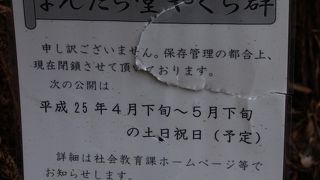 「まんだら堂やぐら群」平成28年（2016年）　限定公開（逗子市）