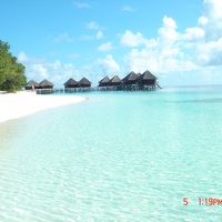 当然ながら、モルディブの海は最高です！