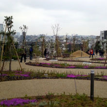 高速ジャンクション屋上の公園