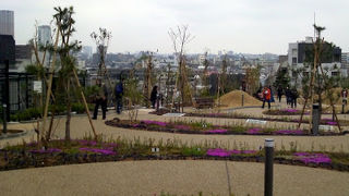 高速道路ジャンクションの屋上に公園が出現