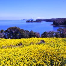 長崎鼻は周防灘に突き出て、姫島を望みます