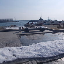 公園のエリアのすぐ向こう側に漁船が並ぶ光景が見られます