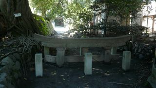 見事に埋没しています