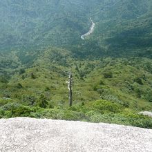 写真でイマイチ伝わりにくいです・・・