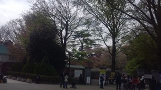 都会のオアシス＠新宿御苑。