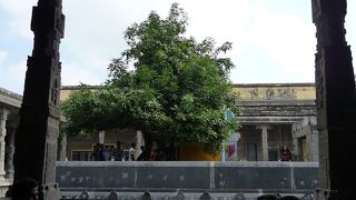 カーンチープラム最大の寺院