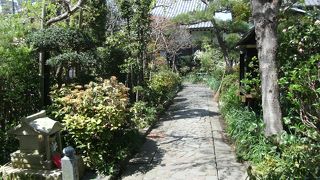 こじんまりした花木の素敵なお寺・・静かです。