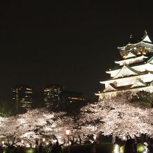 西の丸庭園から